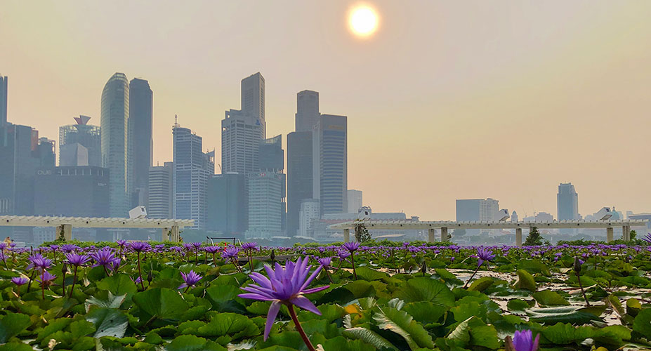 Singapore at sunset