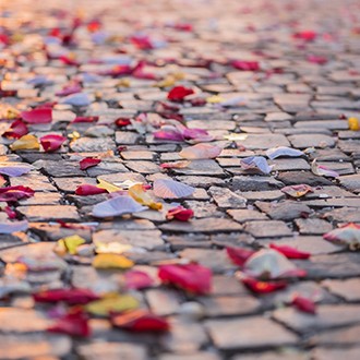 Close-up of autumn leaves on cobbled walkway