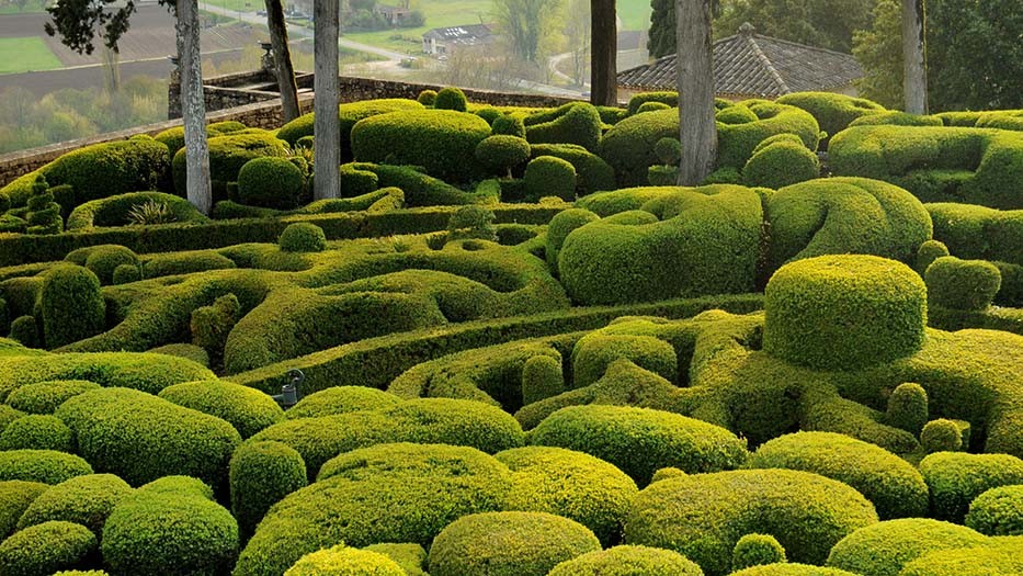 Picture of hedges