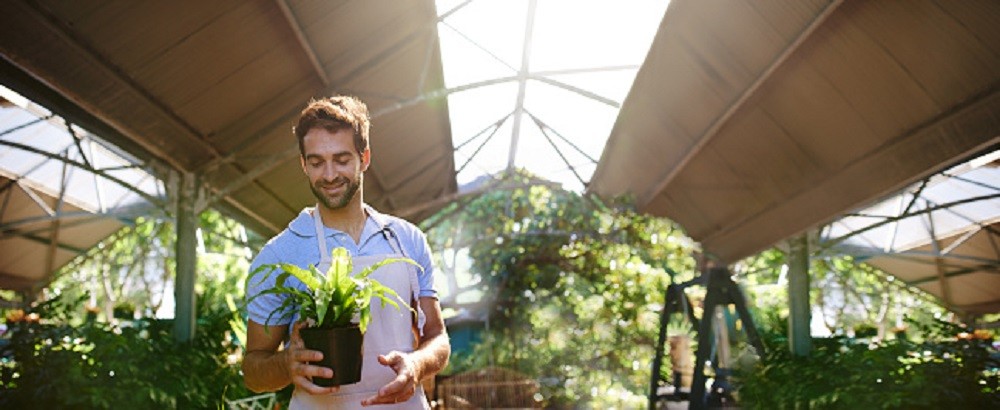 Picture of a man holding a plant