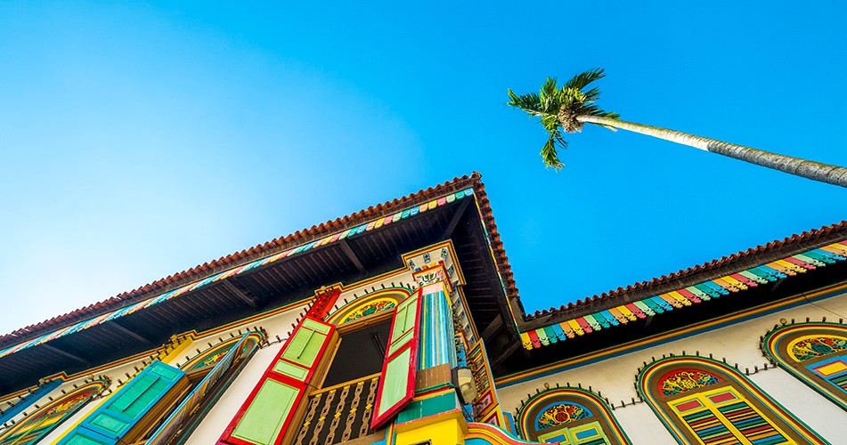 Picture of little India and a colourful building with palm tree 