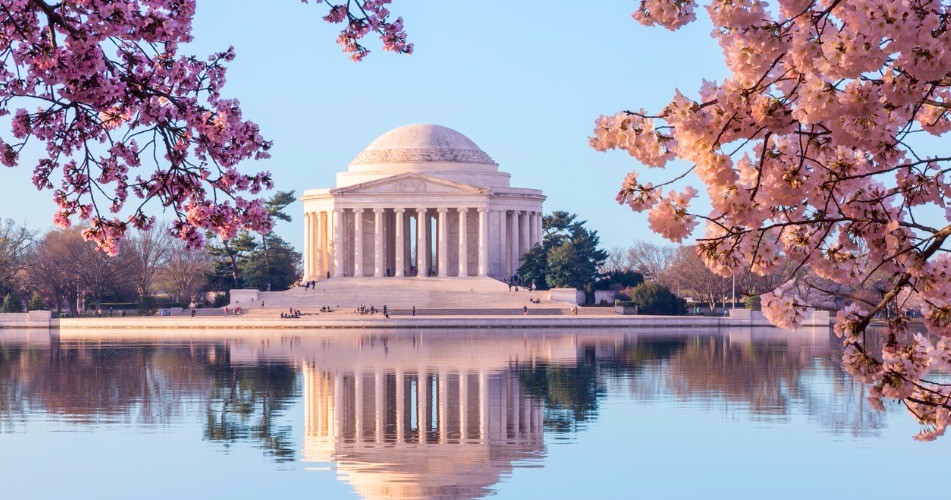 Picture of Jefferson memorial with cherry blossoms