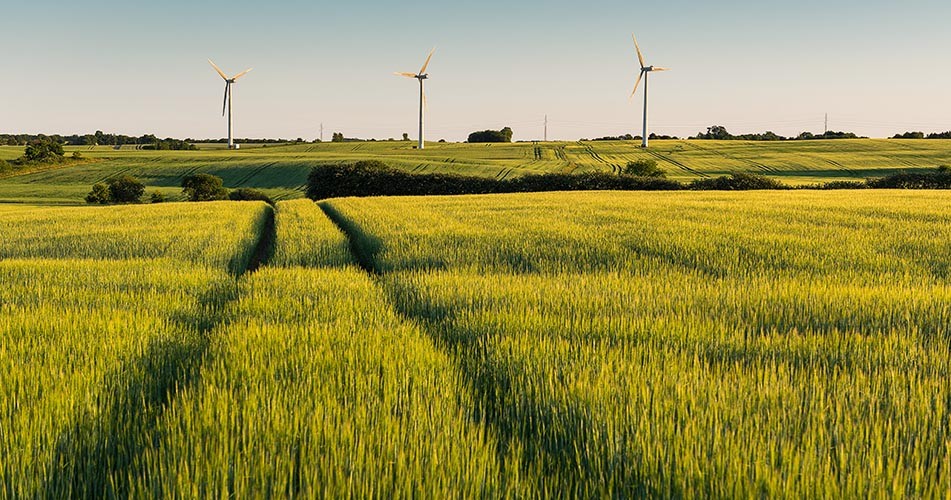 Picture of a field with wind turbines