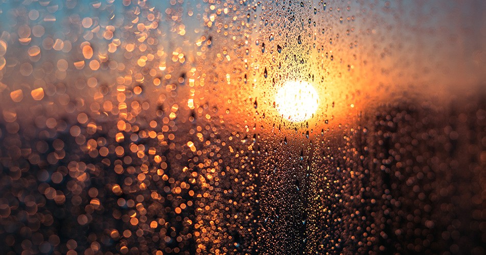 Picture of sun blaring through a water droplets on window