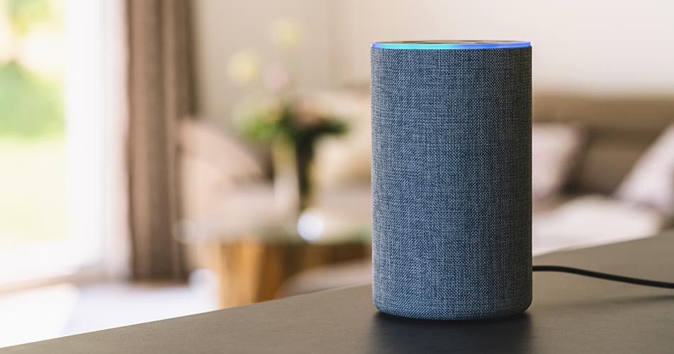 Picture of an Alexa speaker