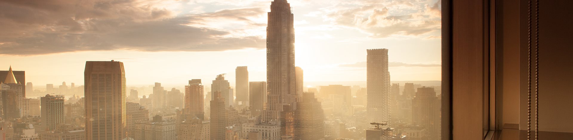 City skyline from behind window