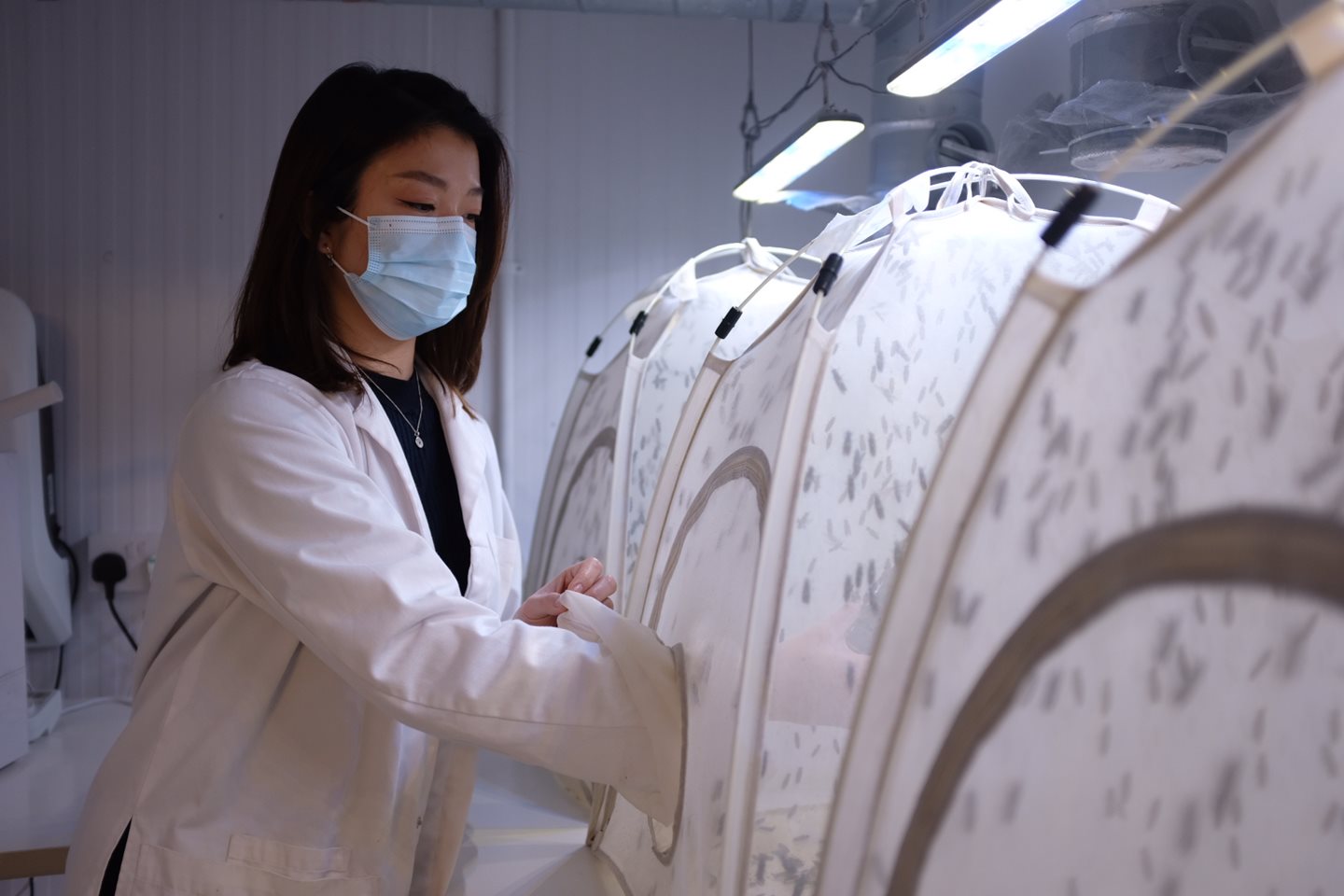 Withers tech advises insect technology company Entocycle on $5 million ...