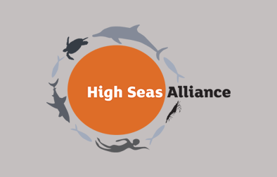 High Seas Alliance logo