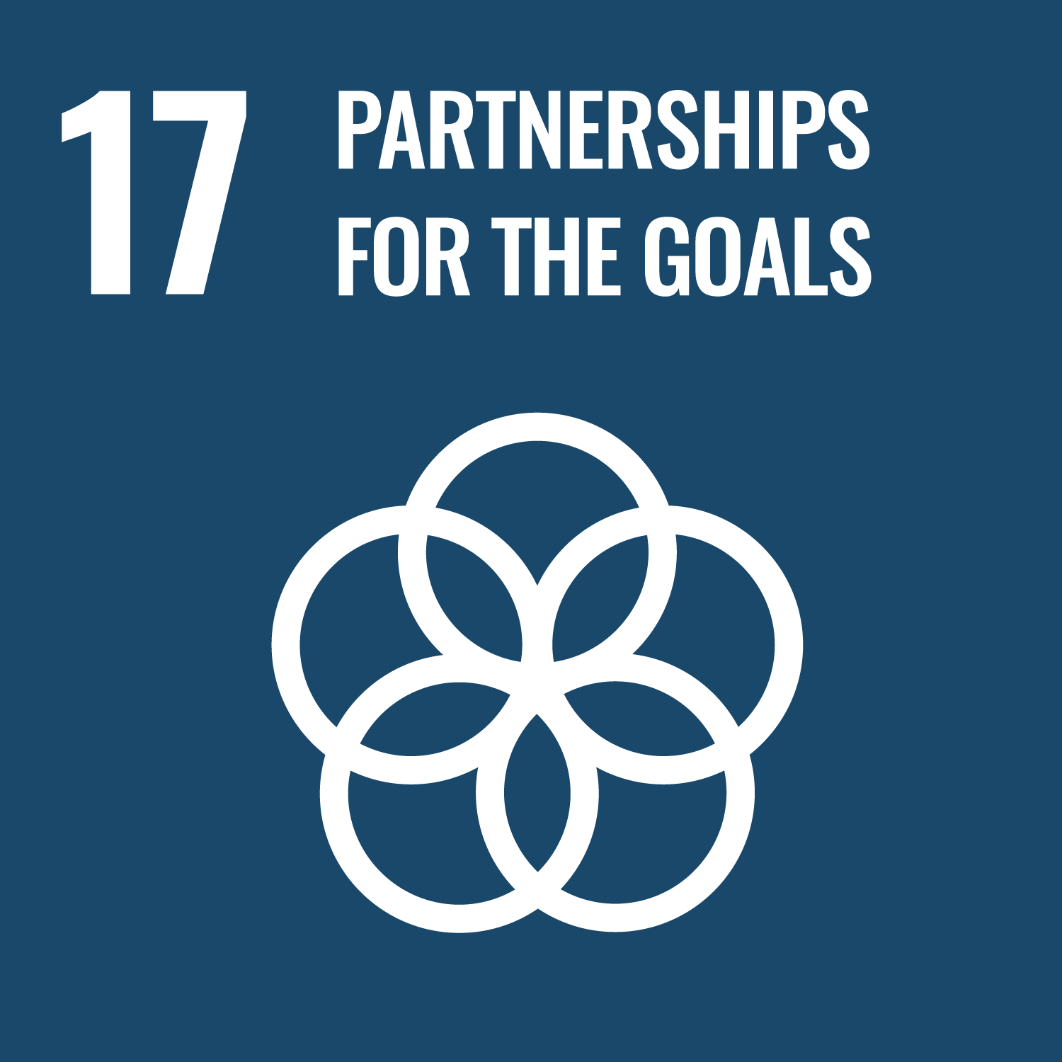 17 | PARTNERSHIPS FOR THE GOALS