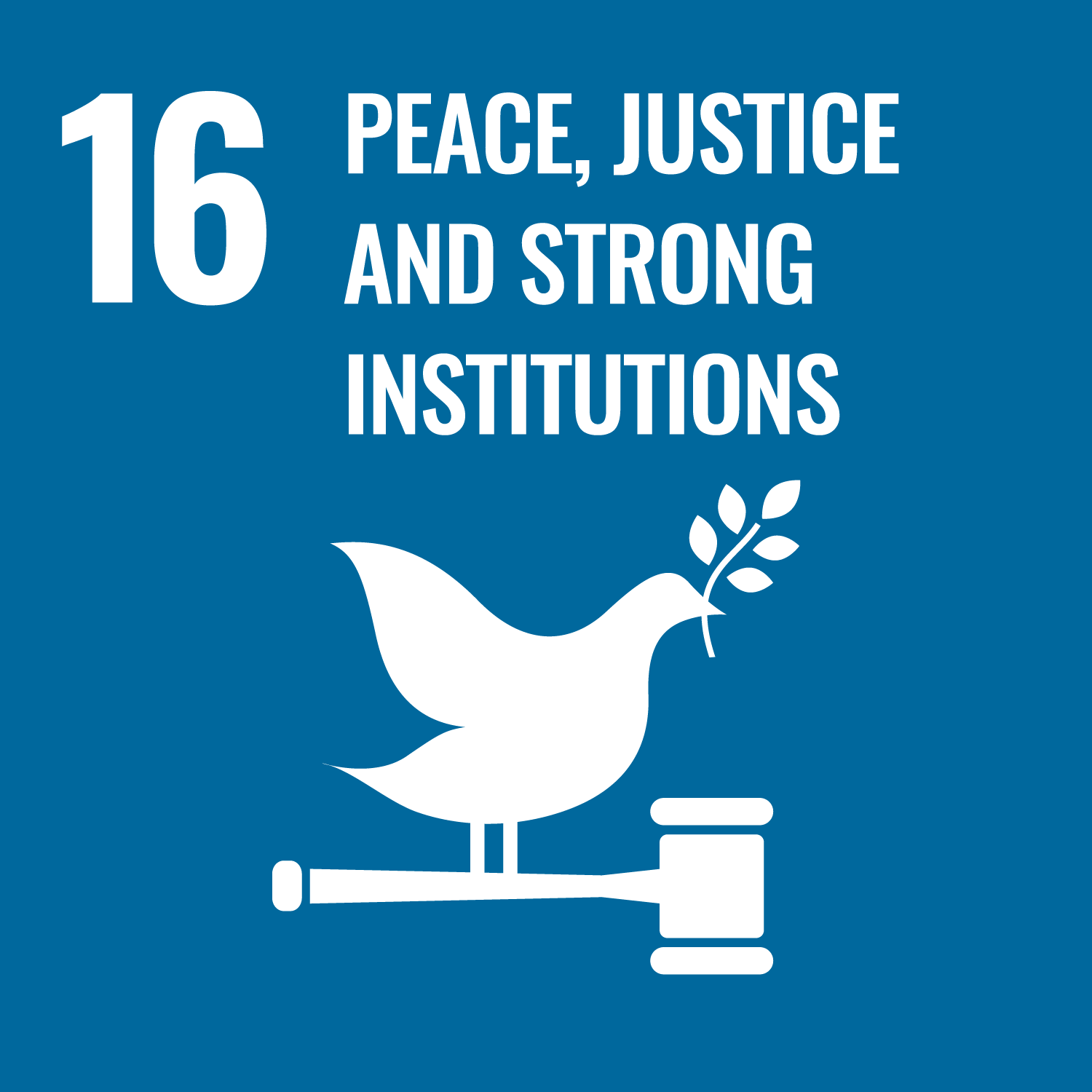 16 | PEACE, JUSTICE AND STRONG INSTITUTIONS