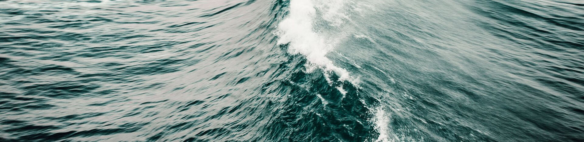 Close-up of a wave in the ocean