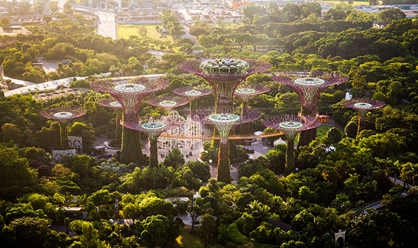 Huge plant-like buildings surrounded by trees
