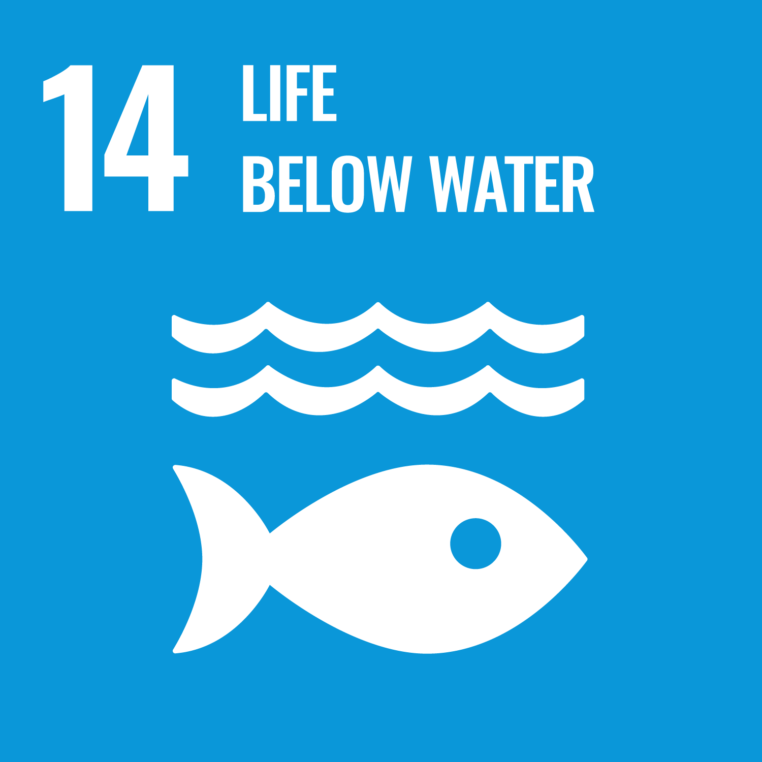 Life below water - SDG 14