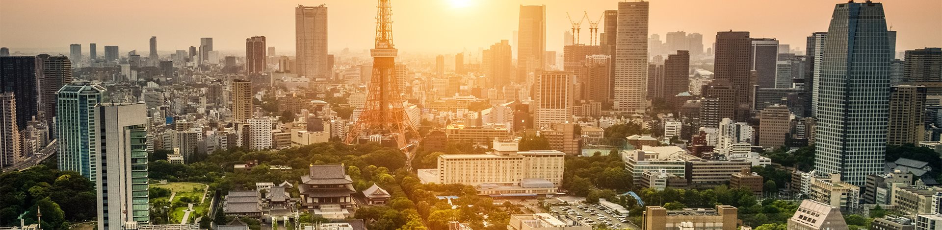 Tax Planning Solicitors | Income Tax Lawyers | Capital Gains Law | Withers