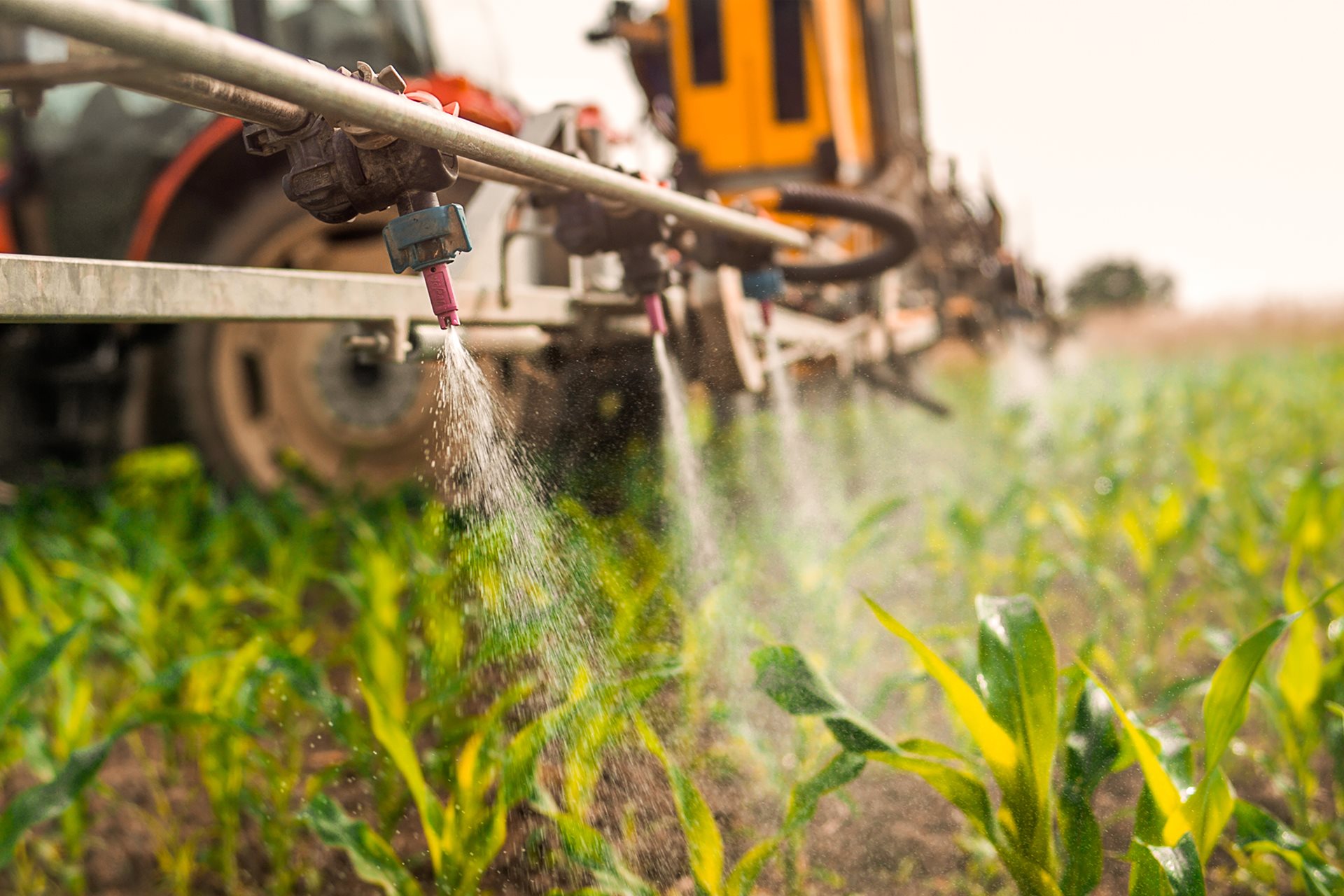 Fertiliser being applied to field of crops by crop sprayer