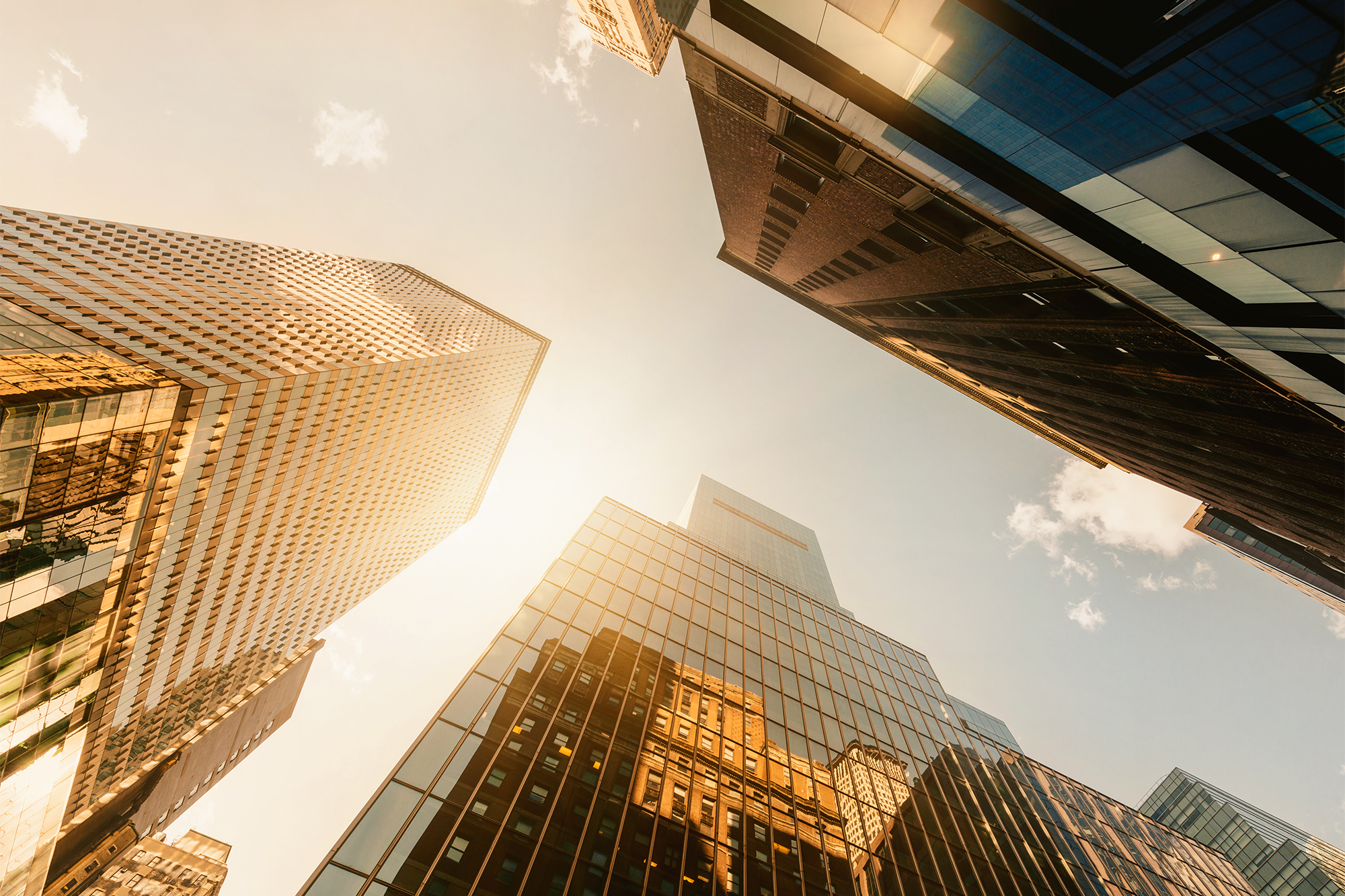 Office skyscrapers in New York