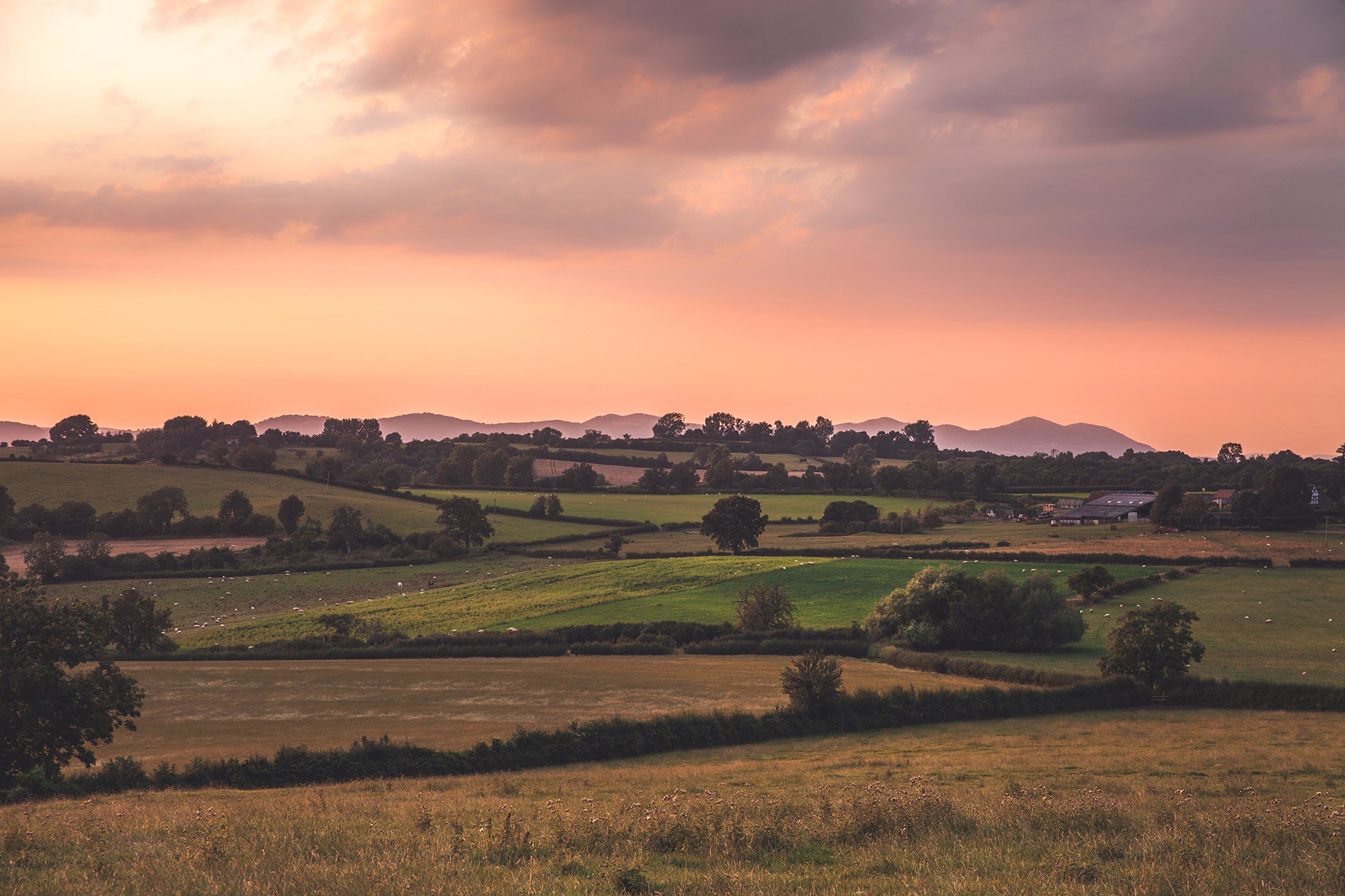 Hills in the countryside with fields of sheep and farm buildings