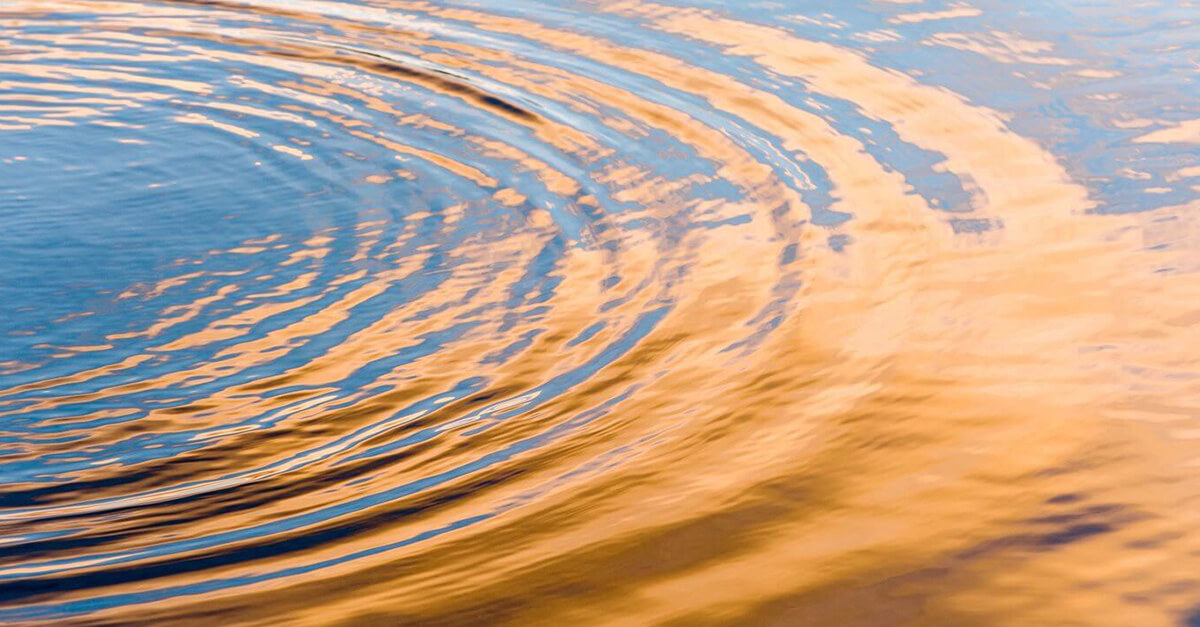 The cost of care: what the UK case of Rogers v Wills reveals about ...