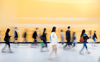 Westminster at sunset